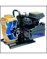 BSGF-8H Gas Powered Ag pump