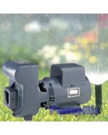 Starite d series sprinkler irrigation pump