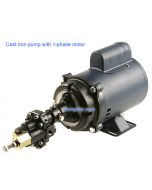 Hypro GMCV2VA3 Cast Iron Gear pump 1/4