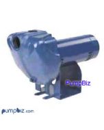 Berkeley - 10LTHH Sprinkler Pump: 1 hp Sprinkler pump