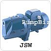 Pedrollo JSWX-05A16P Shallow Well Water Pump 1/2HP