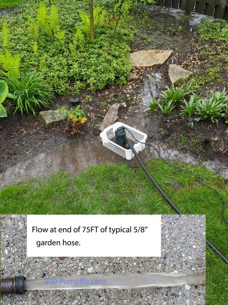 5MSP pump utility submersible