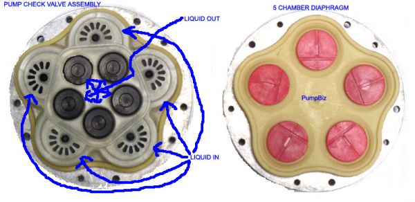 FatBoy 115v Demand Diaphragm Pump